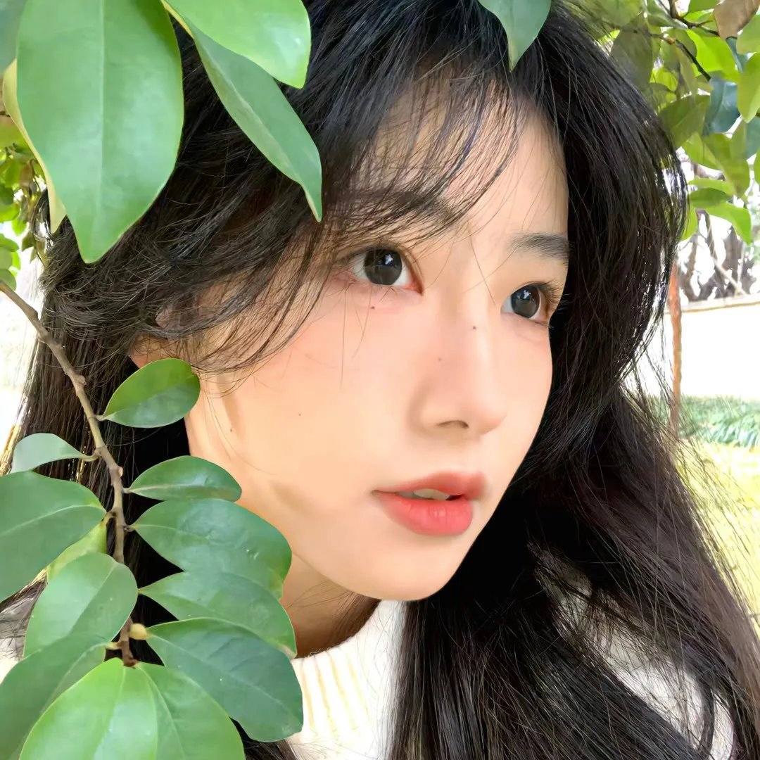 公牛