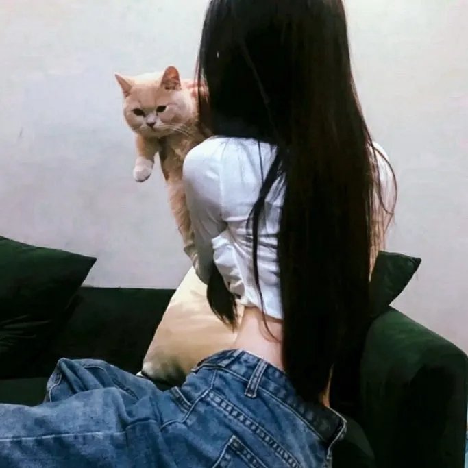 必杀处刑人